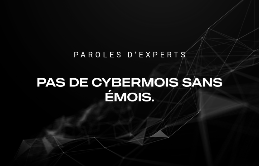 Pas de cybermois sans émois.